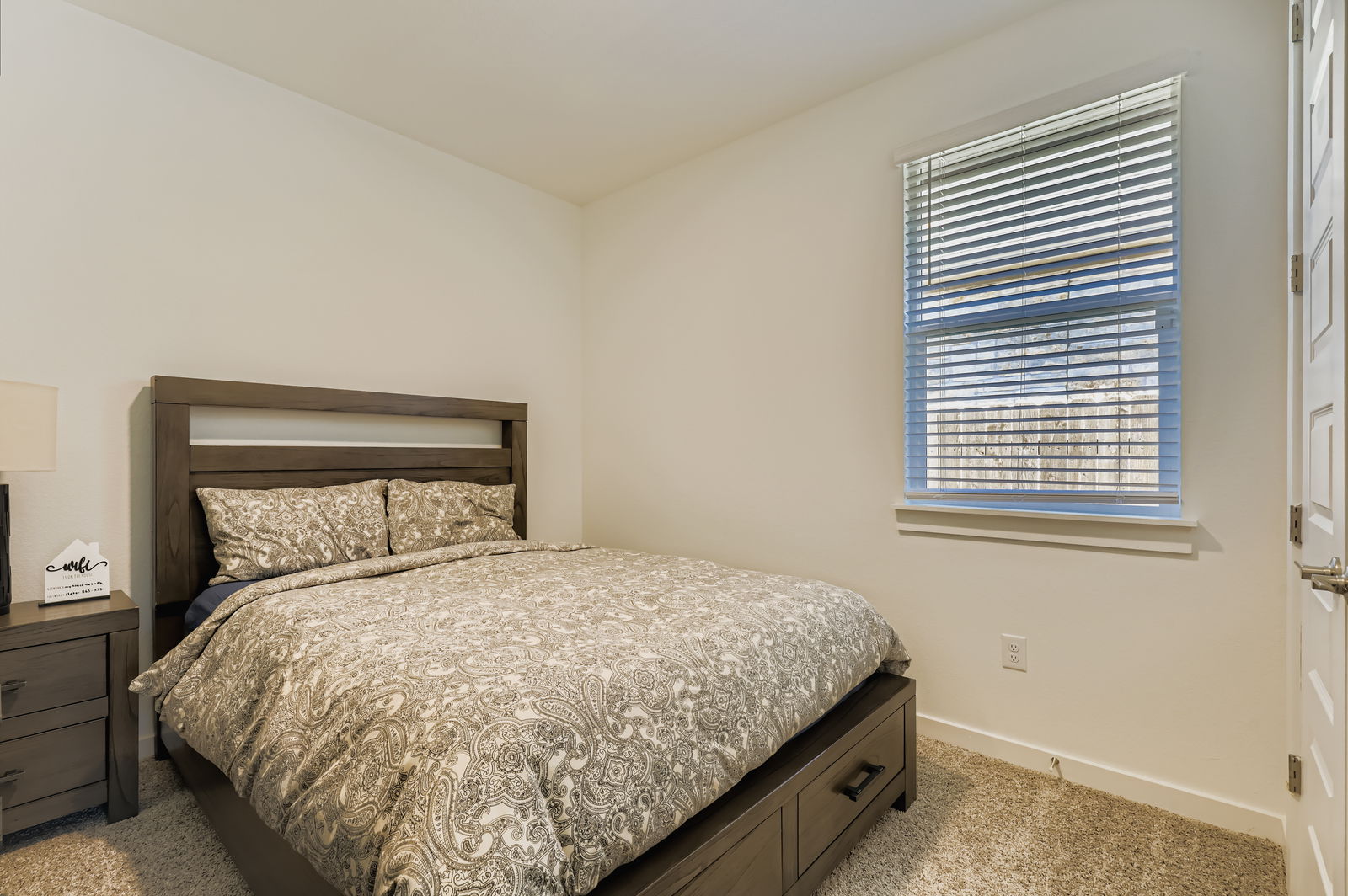 1909 Ruger Pass Leander, TX 78641 - Photo 17 of 31 Bedroom with light carpet and baseboards