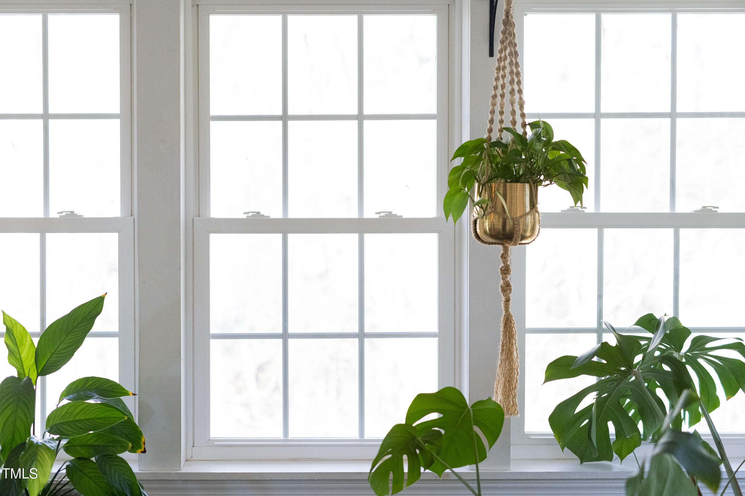 4605 Erwin Road Durham, NC 27705 - Photo 17 of 54 a vase of flowers sitting on a window sill and a window