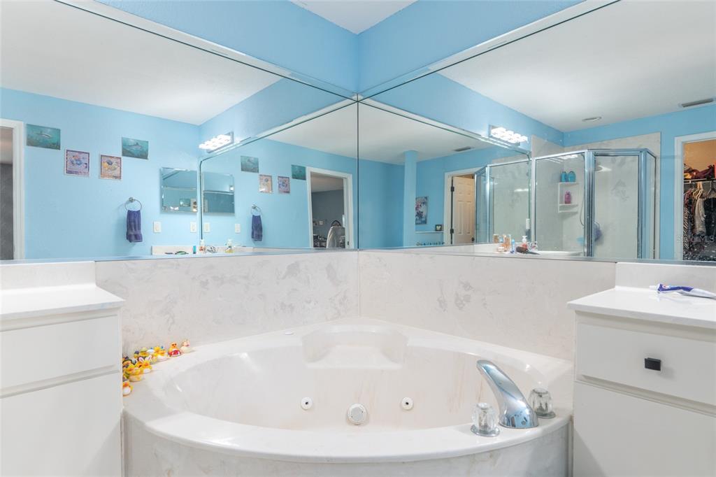 2428 Southwest 147 Place Road Ocala, FL 34473 - Photo 40 of 67