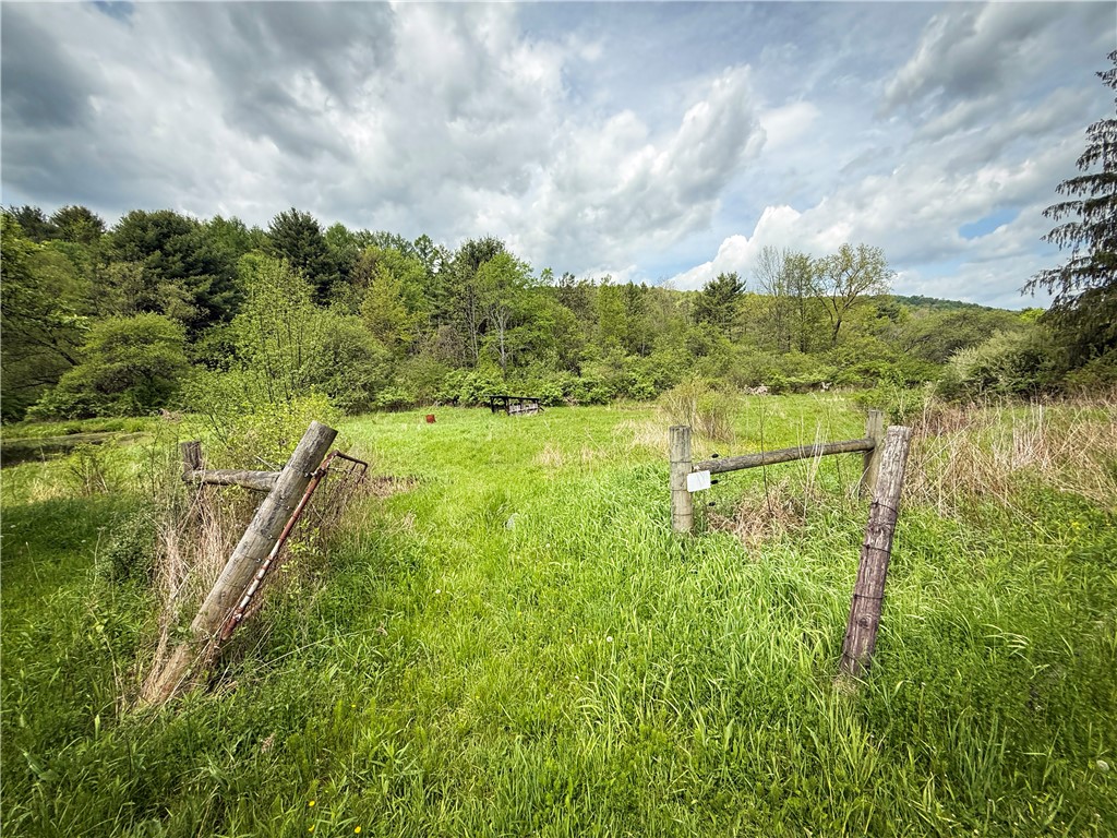 450 Dean Creek Road Spencer, NY 14883 - Photo 42 of 50