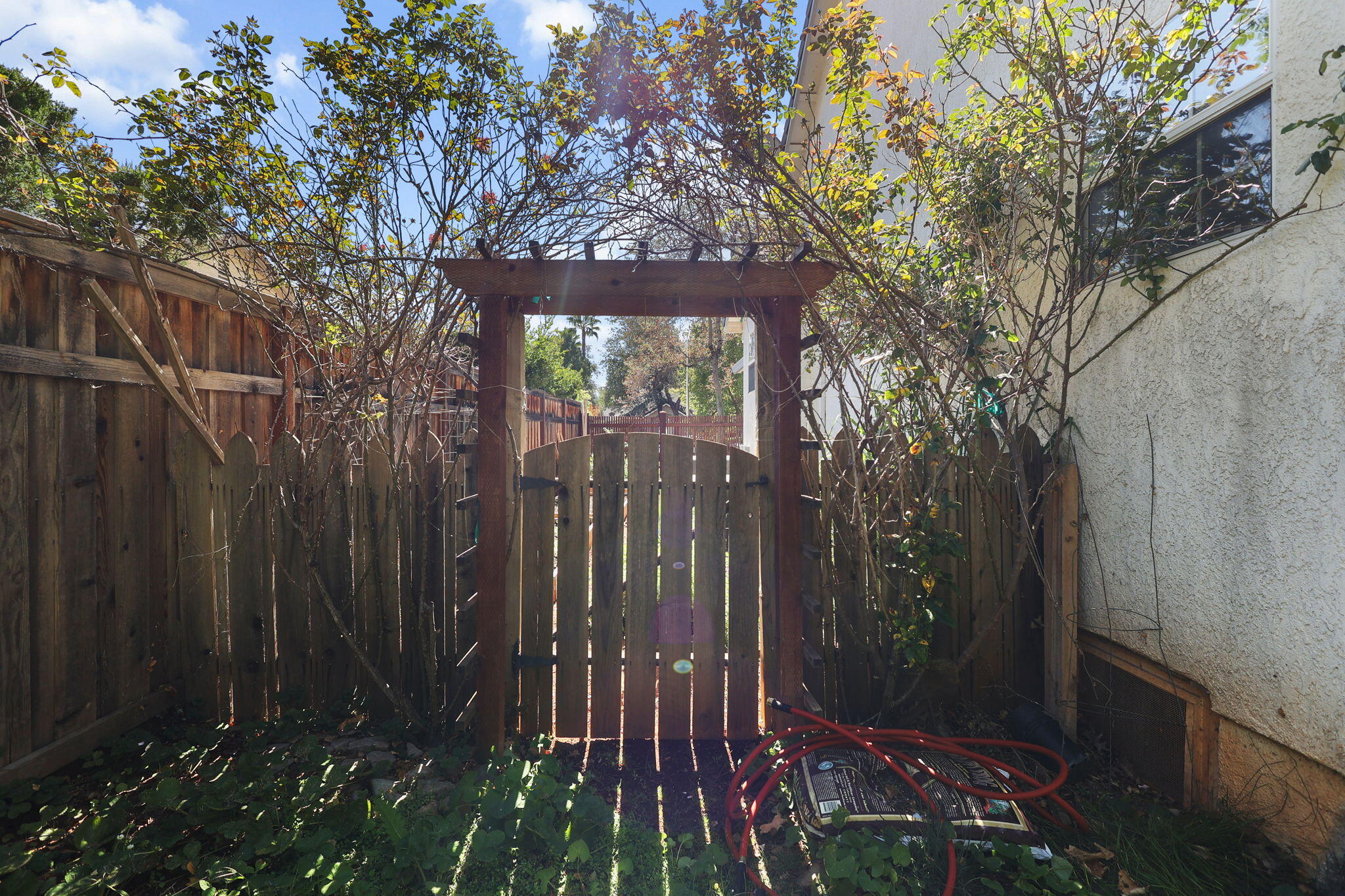 2366 Templeton Drive Redding, CA 96002 - Photo 48 of 54 a view of backyard with green space