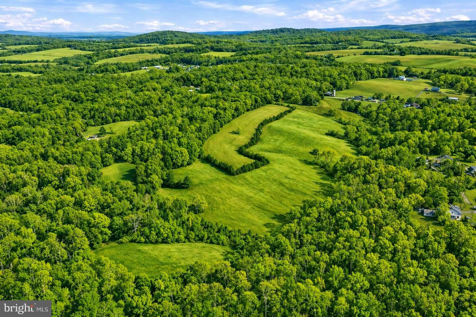 Lot A Trasara Road Rapidan, VA 22733 - Photo 12 of 17 a view of a green field with lots of plants in it