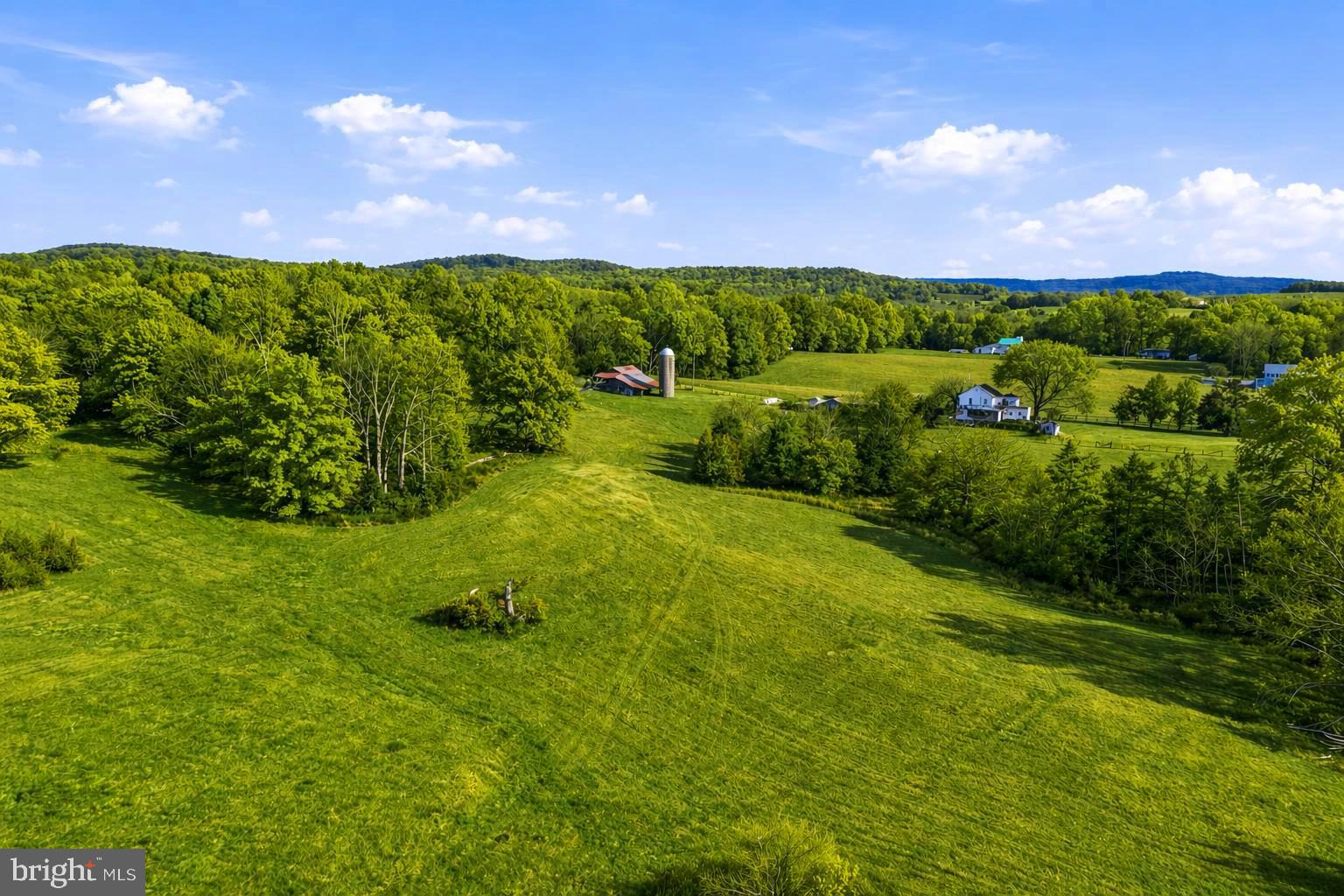 Lot A Trasara Road Rapidan, VA 22733 - Photo 15 of 17 a view of a garden with an houses