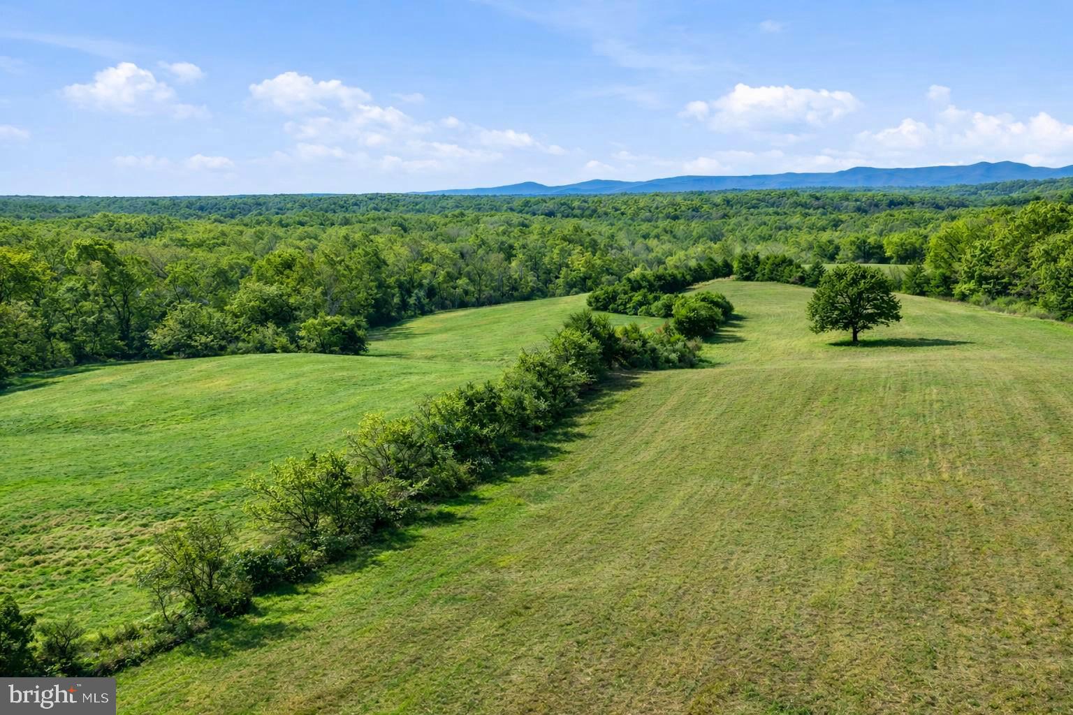Lot A Trasara Road Rapidan, VA 22733 - Photo 4 of 17 a view of a garden with a building in the background