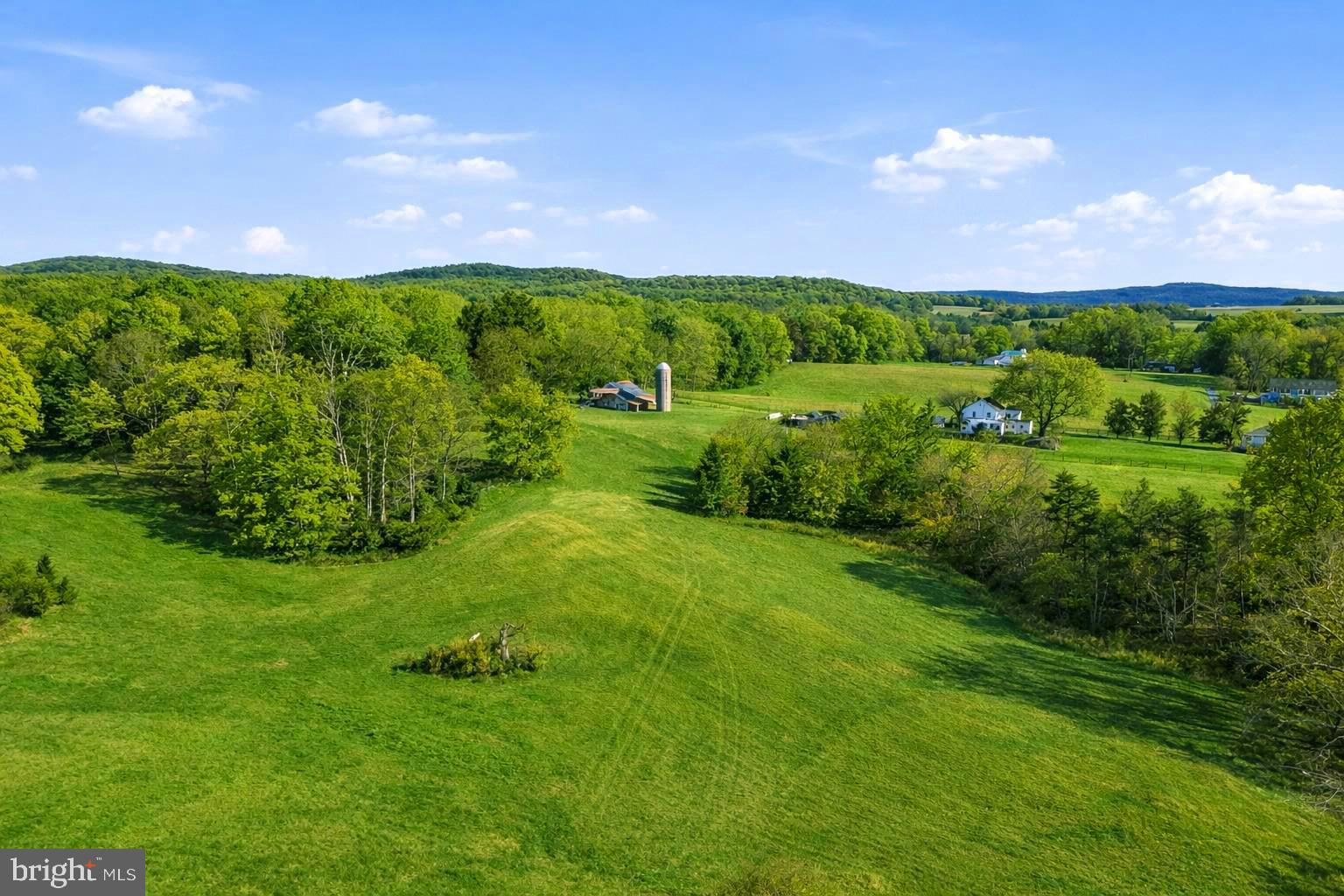 Lot A Trasara Road Rapidan, VA 22733 - Photo 6 of 17 a view of a green field with lots of plants in it