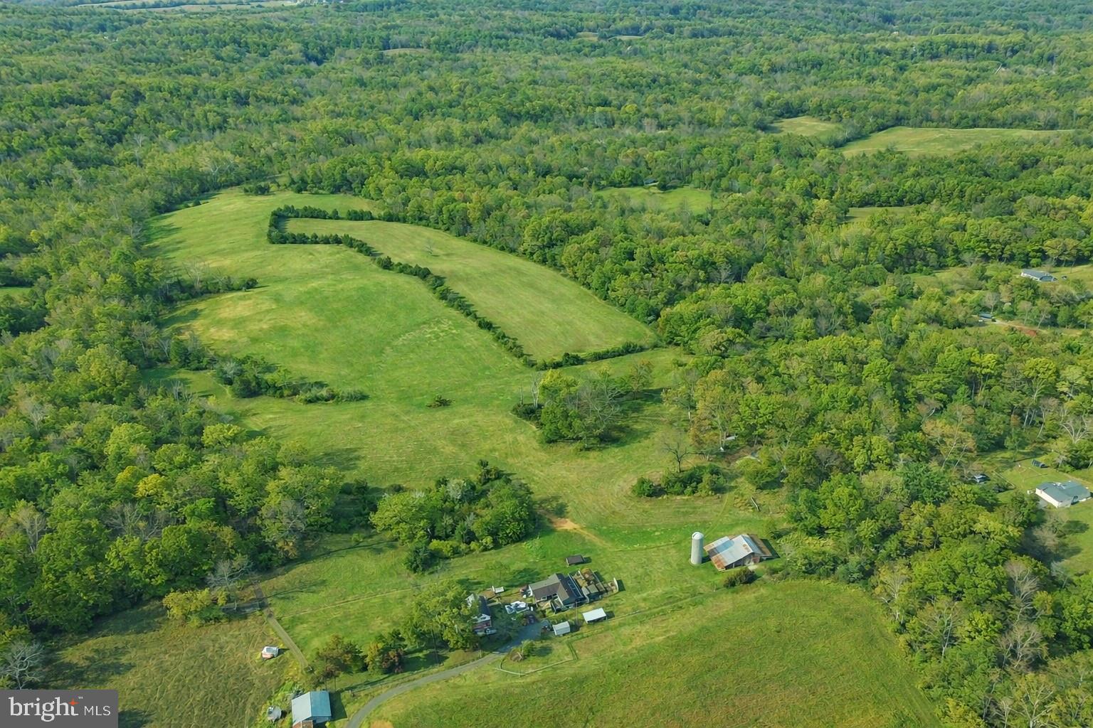 Lot A Trasara Road Rapidan, VA 22733 - Photo 9 of 17 a view of a green yard with large trees
