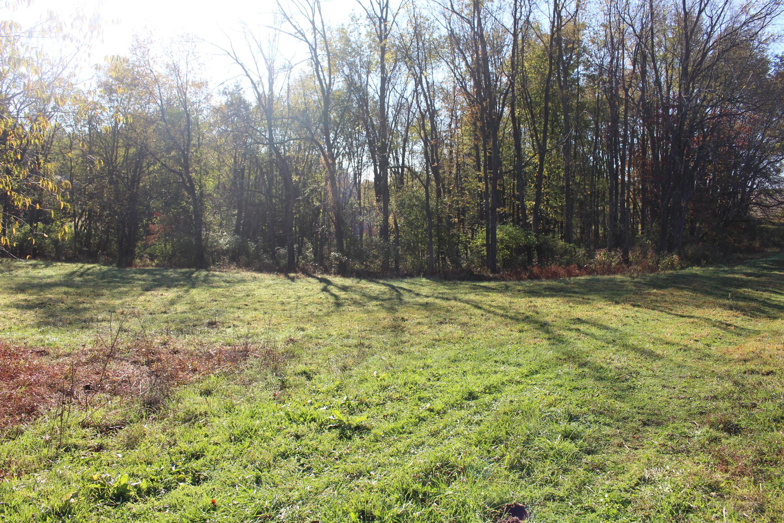 18306 Scott Road Mount Vernon, OH 43050 - Photo 19 of 29 Gallery Image 19