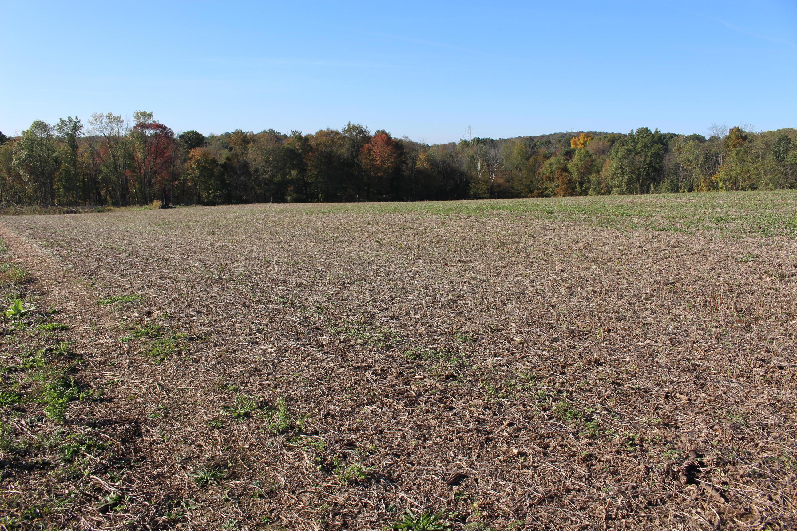18306 Scott Road Mount Vernon, OH 43050 - Photo 22 of 29 Gallery Image 22