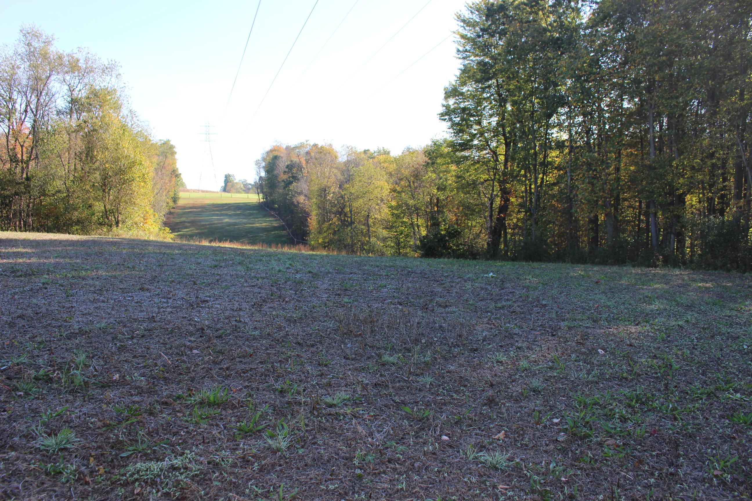 18306 Scott Road Mount Vernon, OH 43050 - Photo 23 of 29 Gallery Image 23