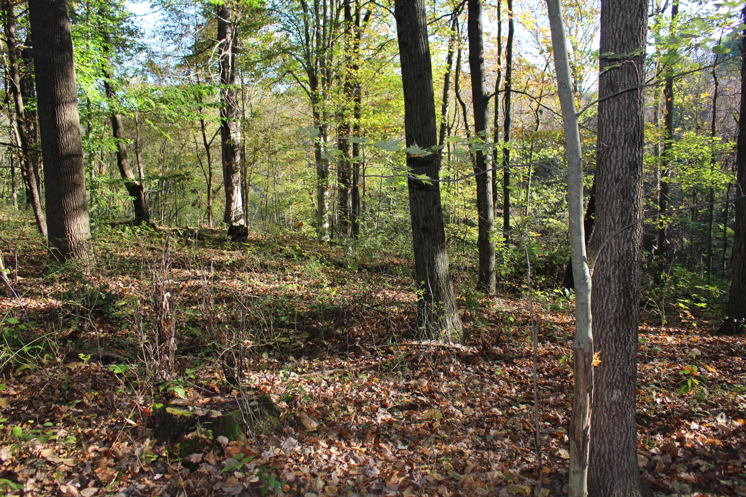 18306 Scott Road Mount Vernon, OH 43050 - Photo 25 of 29 Gallery Image 25
