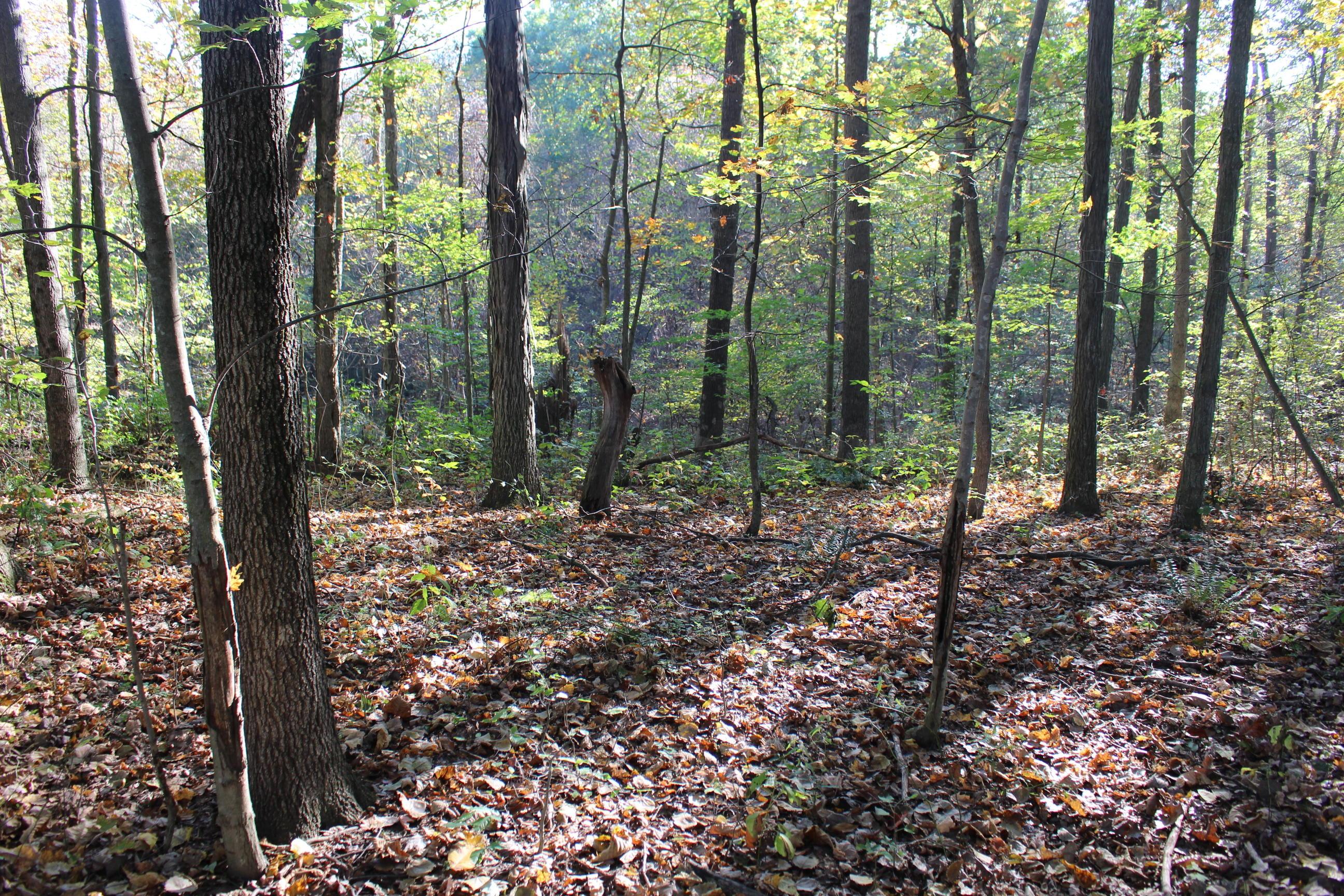 18306 Scott Road Mount Vernon, OH 43050 - Photo 26 of 29 Gallery Image 26