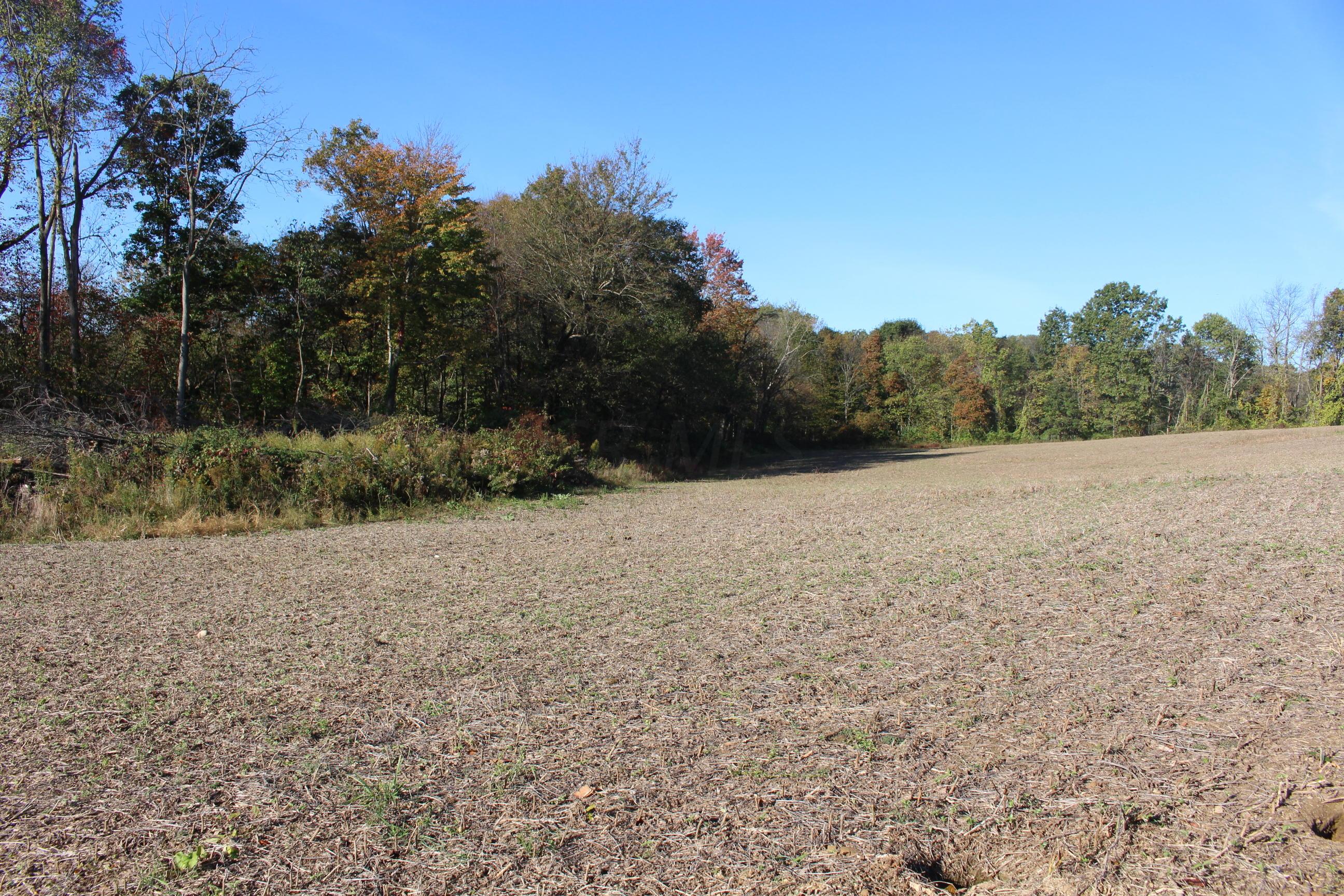 18306 Scott Road Mount Vernon, OH 43050 - Photo 29 of 29 Gallery Image 29