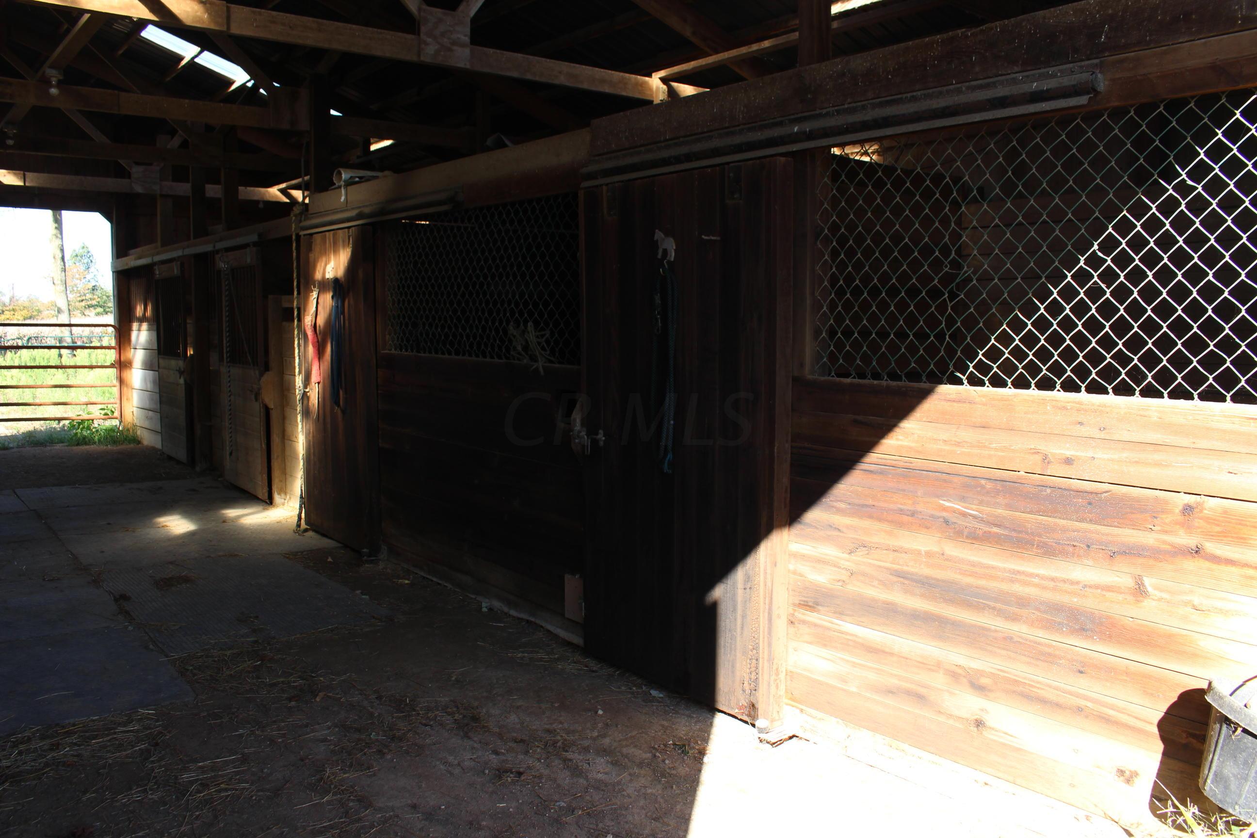 Gallery Image 7