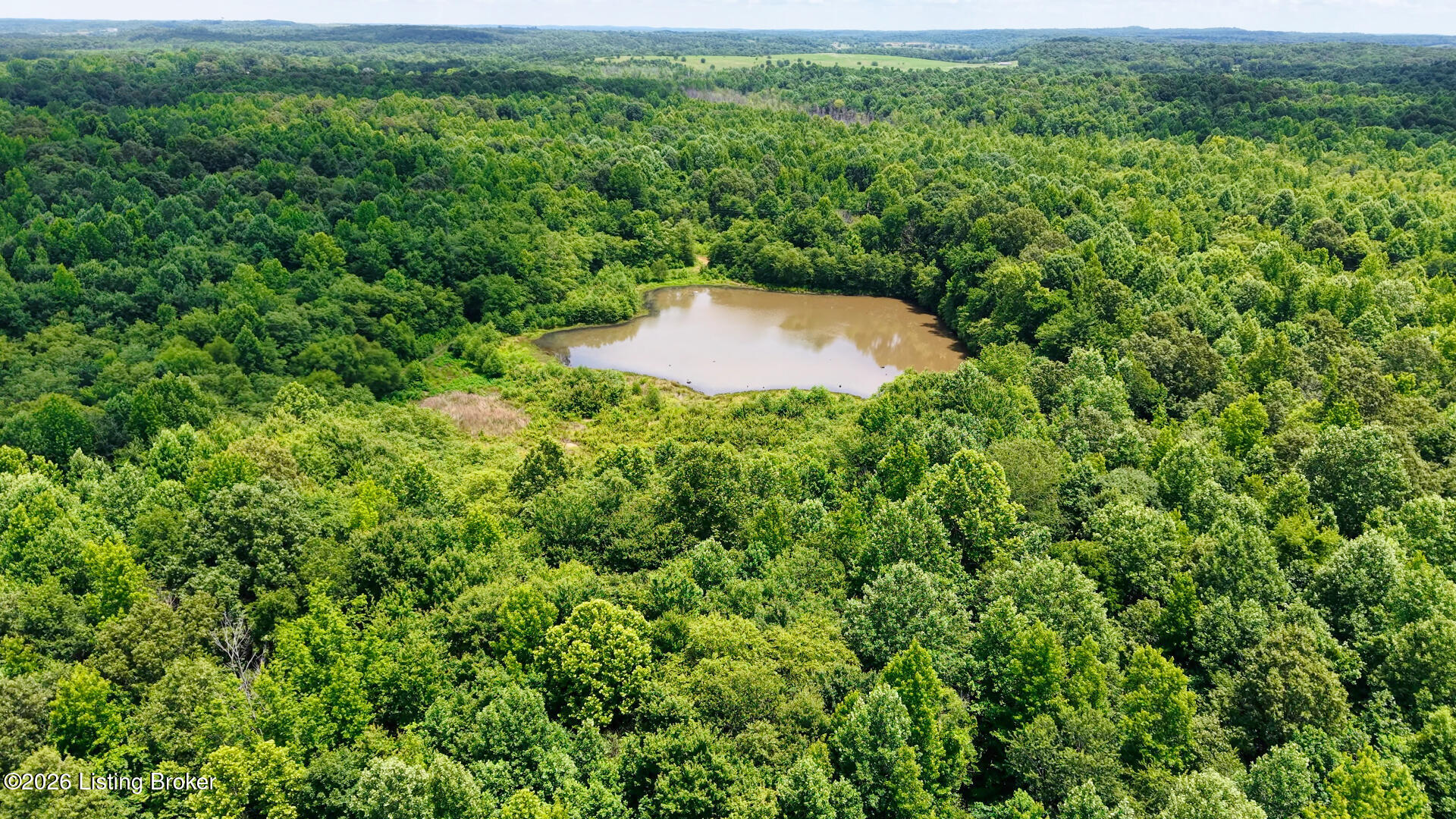 2 Ditney Hill Road Drakesboro, KY 42337 - Photo 7 of 13 DJI 173
