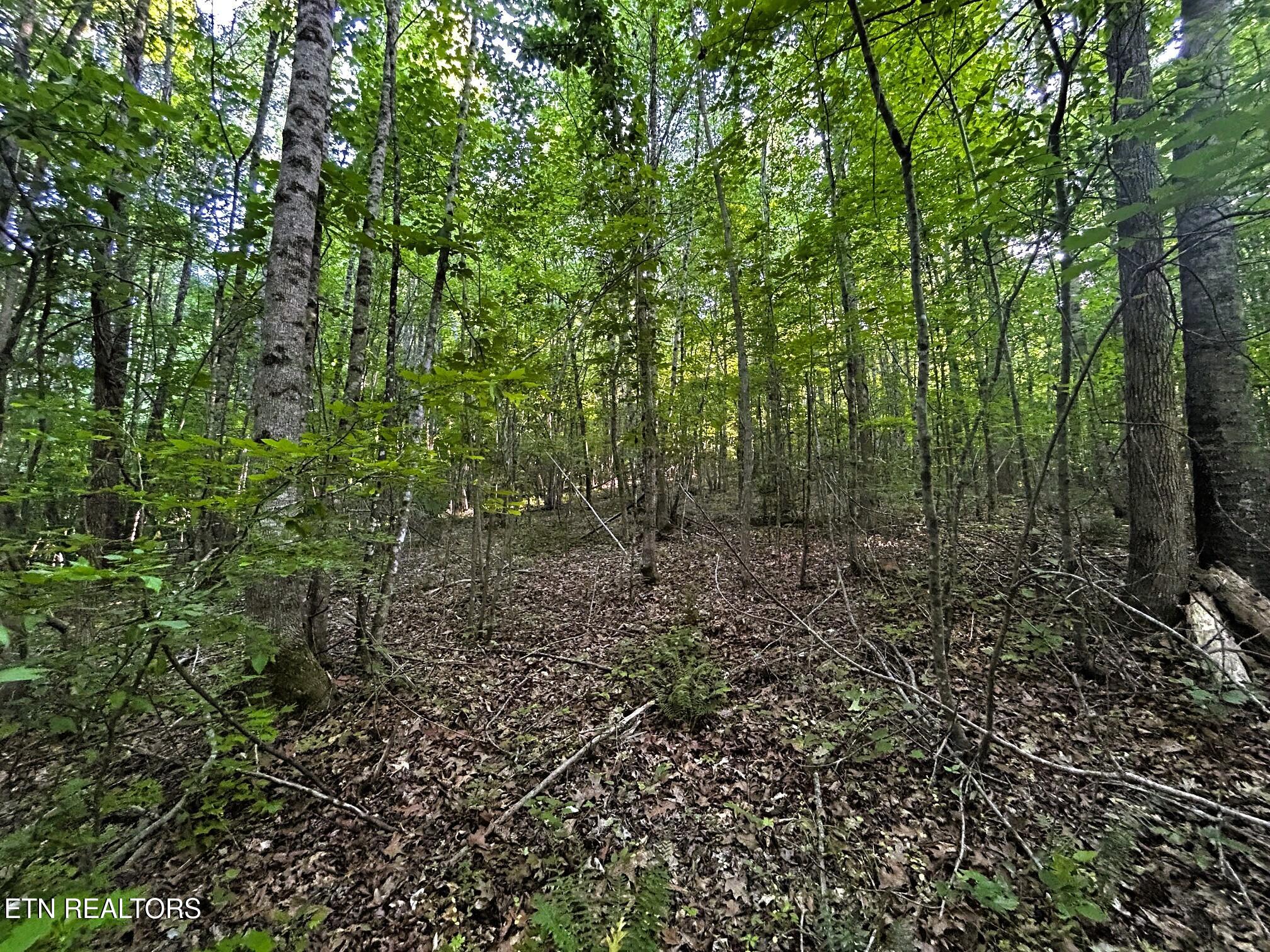 9 Pleasant Hill Road Ten Mile, TN 37880 - Photo 22 of 32 PH 9 16