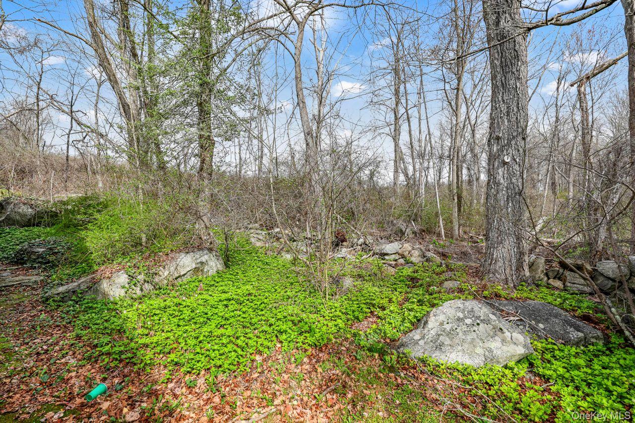 339 North Road Mahopac, NY 10541 - Photo 24 of 27