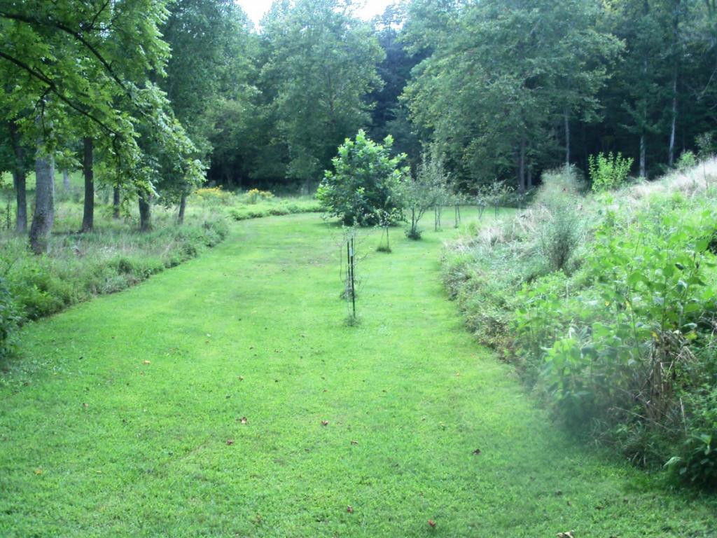 O Kingdom Road Duffield, VA 24244 - Photo 15 of 36 Photo 15