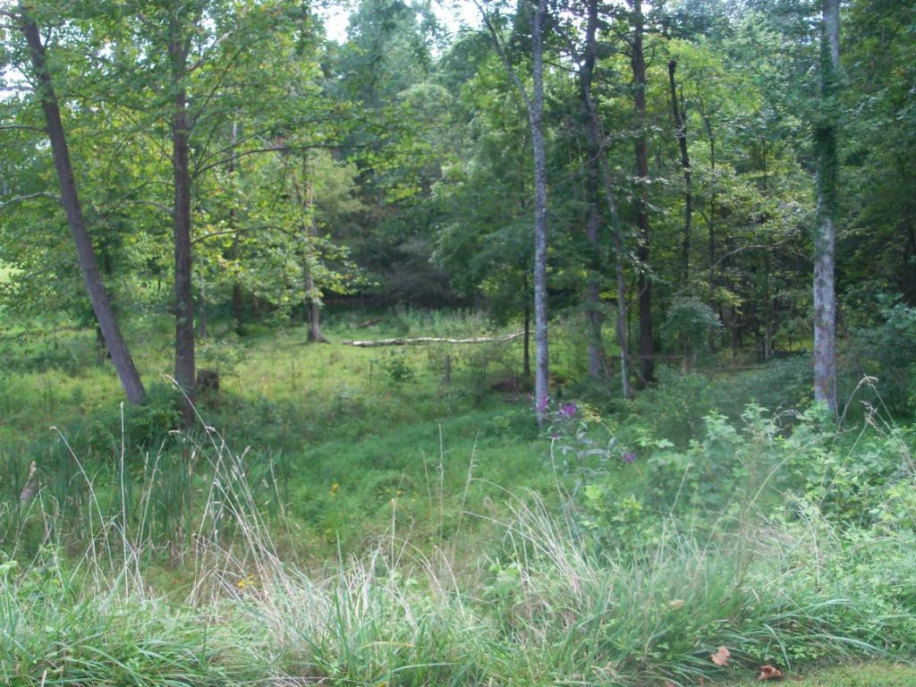 O Kingdom Road Duffield, VA 24244 - Photo 18 of 36 Photo 18