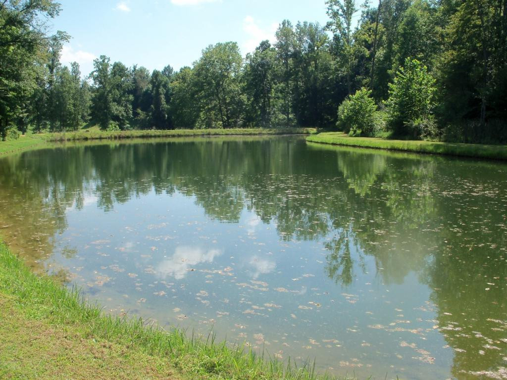 O Kingdom Road Duffield, VA 24244 - Photo 22 of 36 Photo 22