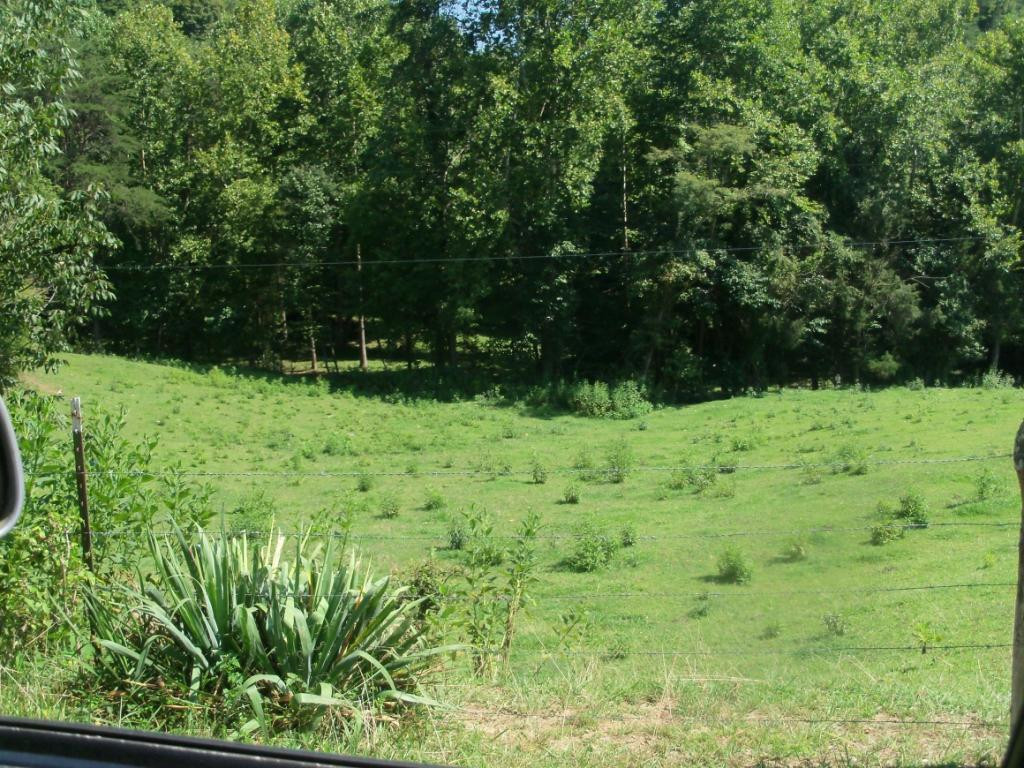 O Kingdom Road Duffield, VA 24244 - Photo 23 of 36 Photo 23