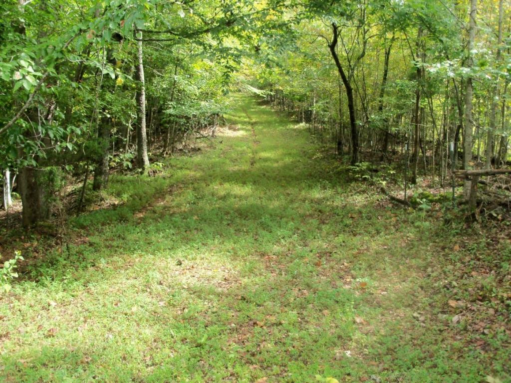 O Kingdom Road Duffield, VA 24244 - Photo 28 of 36 Photo 28