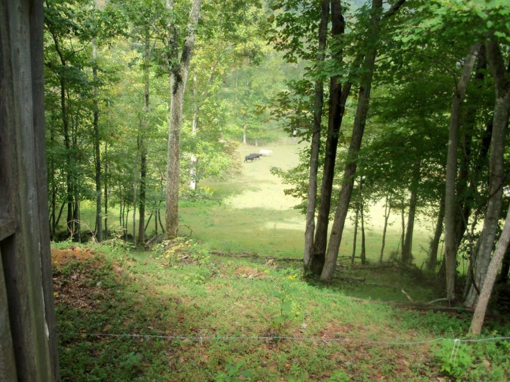 O Kingdom Road Duffield, VA 24244 - Photo 30 of 36 Photo 30