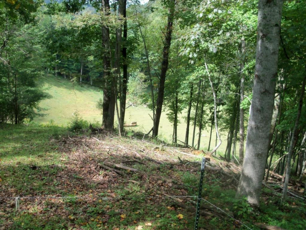 O Kingdom Road Duffield, VA 24244 - Photo 31 of 36 Photo 31
