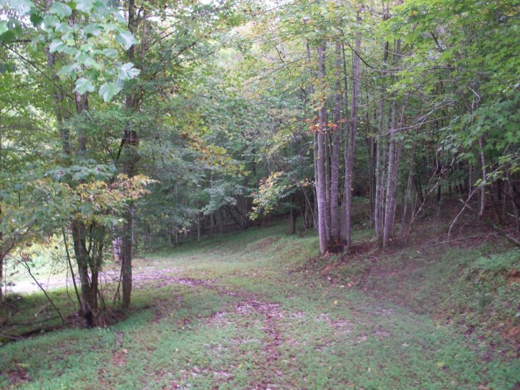 O Kingdom Road Duffield, VA 24244 - Photo 32 of 36 Photo 32