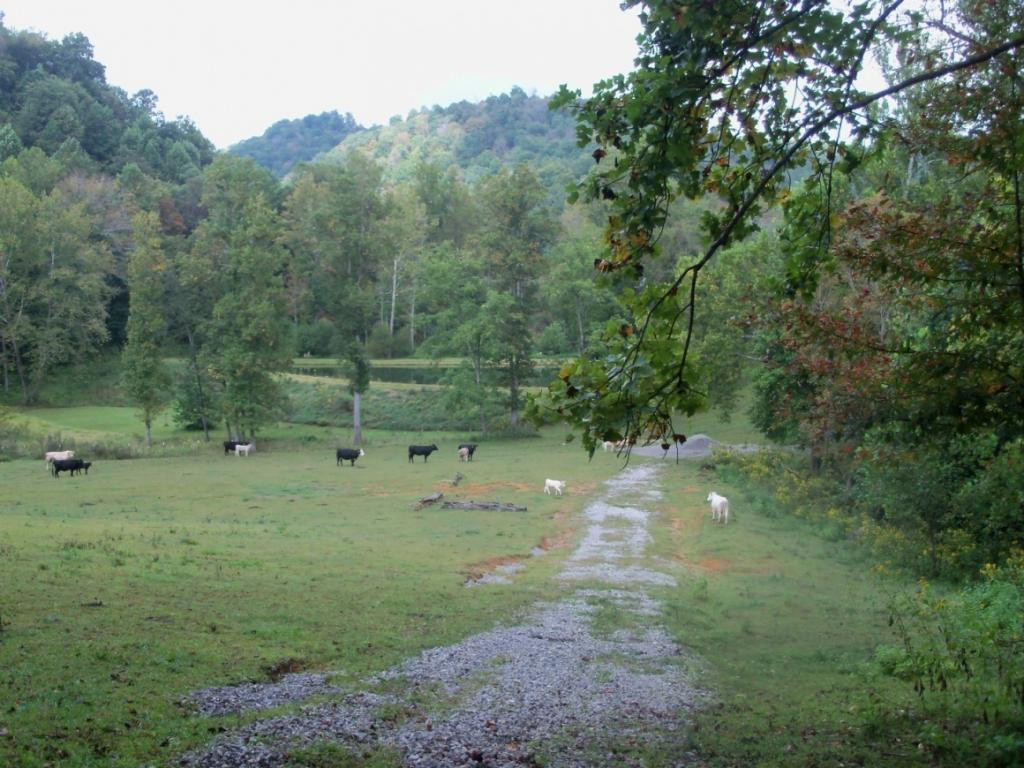 O Kingdom Road Duffield, VA 24244 - Photo 34 of 36 Photo 34