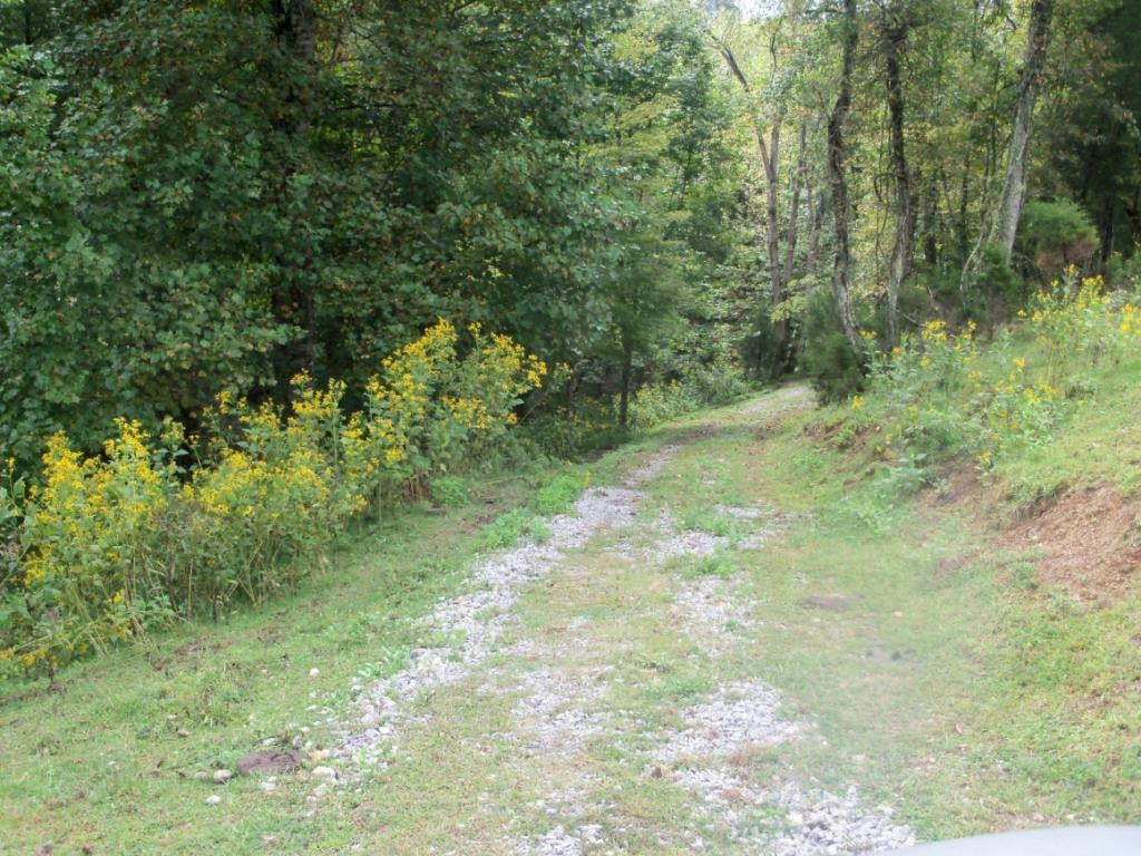 O Kingdom Road Duffield, VA 24244 - Photo 36 of 36 Photo 36