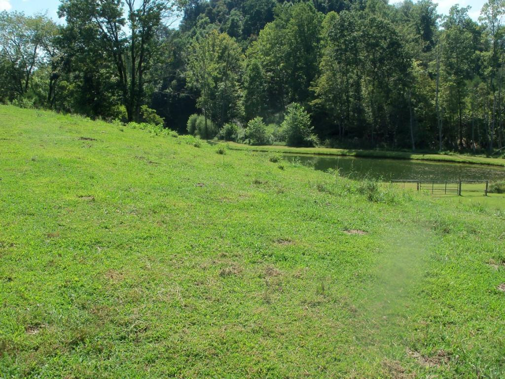 O Kingdom Road Duffield, VA 24244 - Photo 8 of 36 Photo 8