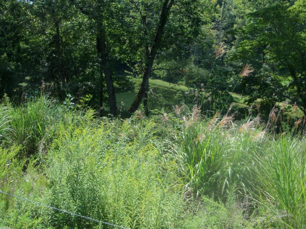 O Kingdom Road Duffield, VA 24244 - Photo 10 of 36 Photo 10