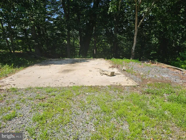 a view of a yard with a large tree