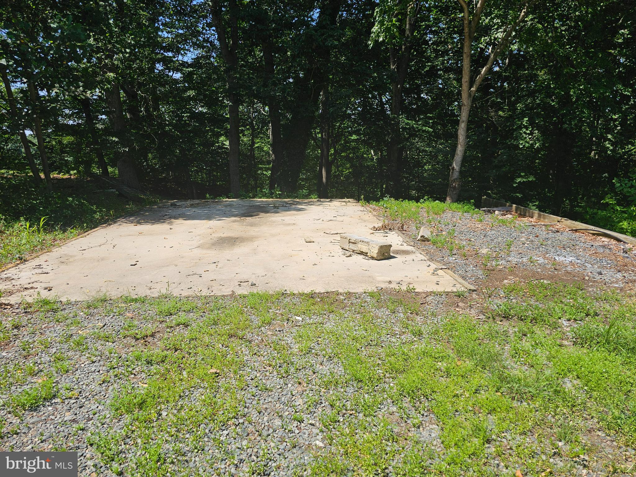 20 Inka Lane, Unit GLEN 3 Earleville, MD 21919 - Photo 2 of 4 a view of a yard with a large tree