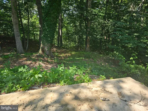 a backyard of a house with large trees and plants