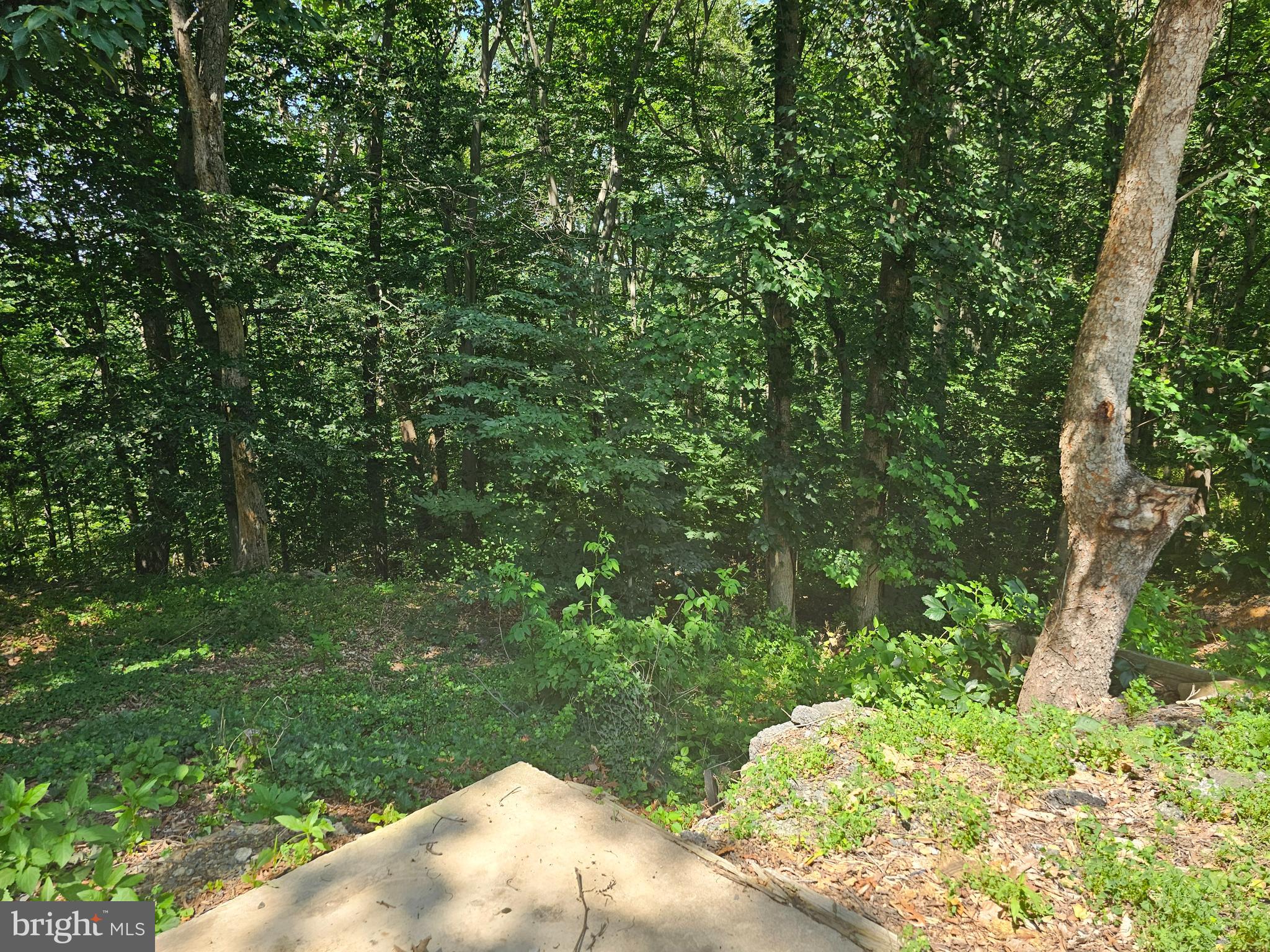 20 Inka Lane, Unit GLEN 3 Earleville, MD 21919 - Photo 4 of 4 a view of a yard