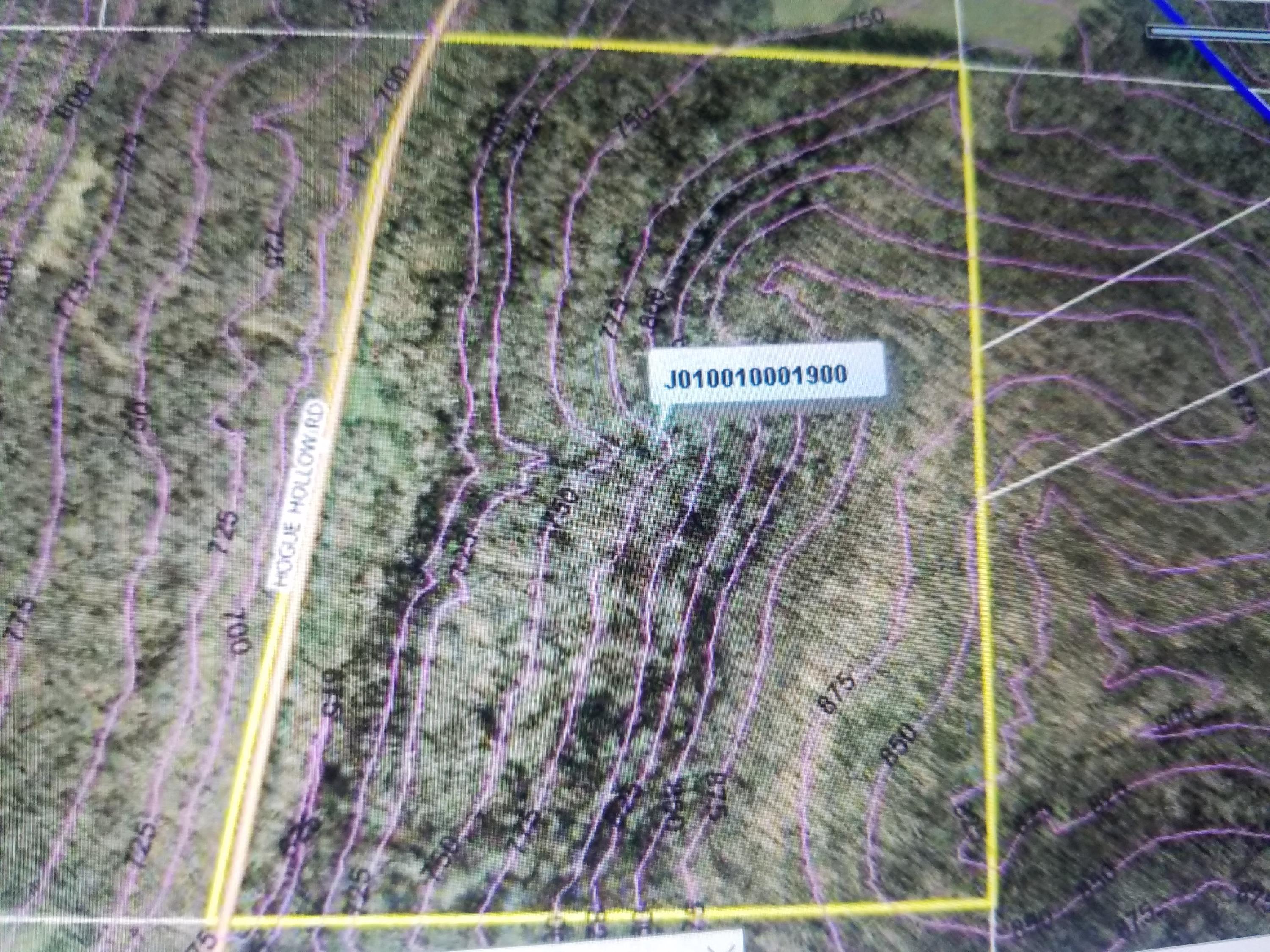 0 Deep Hollow Road Guysville, OH 45735 - Photo 11 of 12 Gallery Image 11