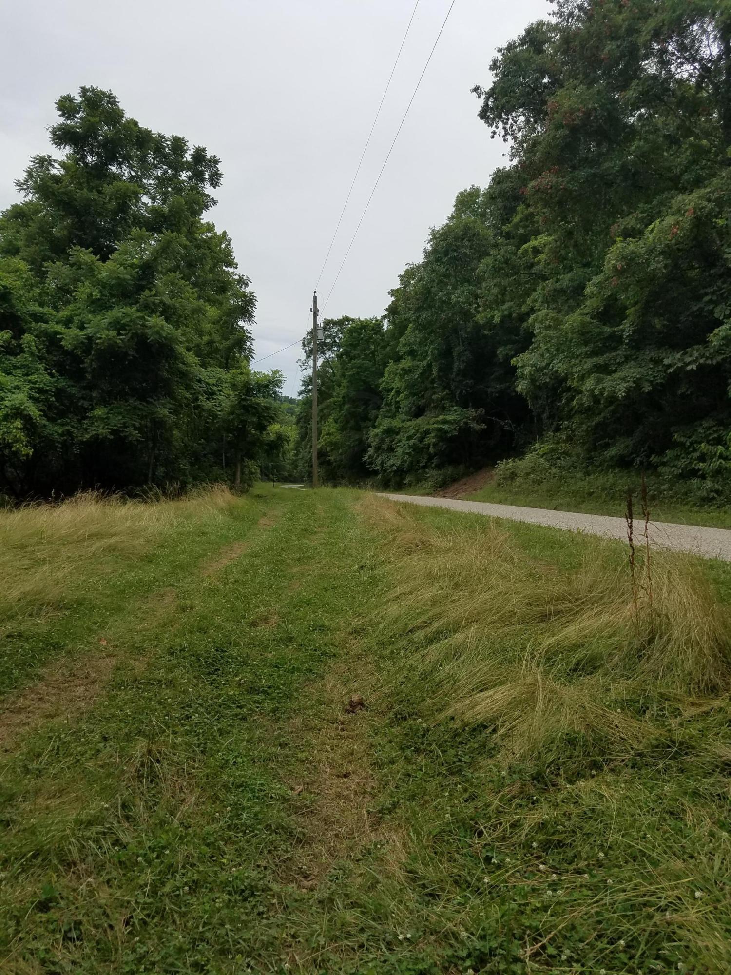 0 Deep Hollow Road Guysville, OH 45735 - Photo 6 of 12 Gallery Image 6
