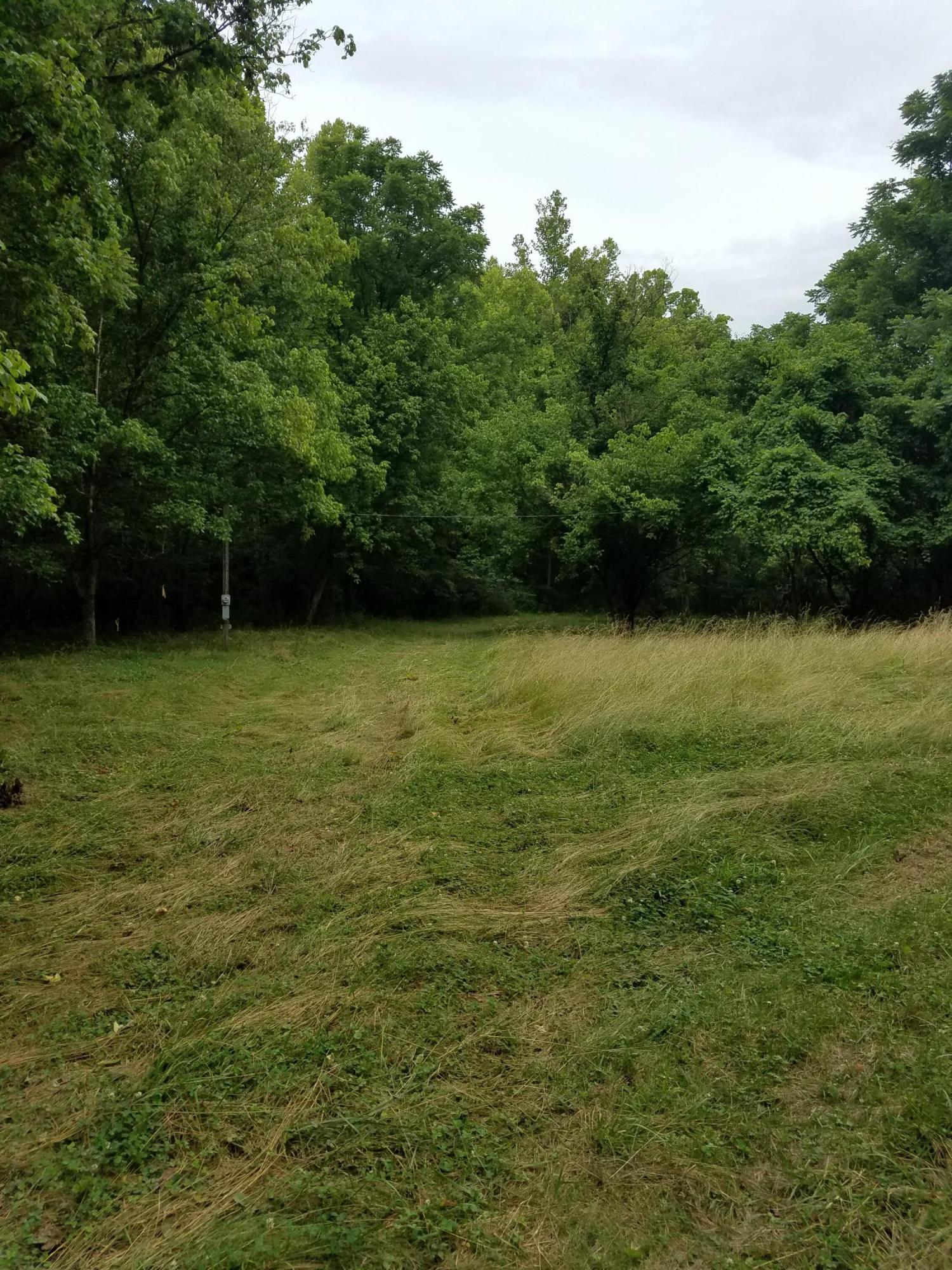 0 Deep Hollow Road Guysville, OH 45735 - Photo 8 of 12 Gallery Image 8