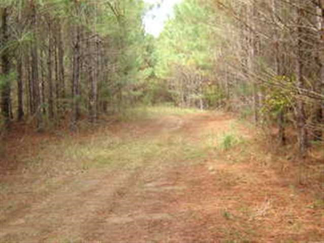 0 Liberty Road Natchez, MS 39120 - Photo 1 of 1 Main View