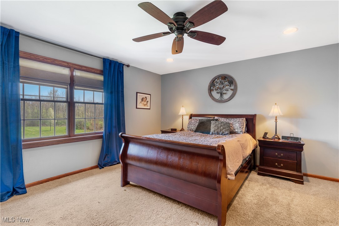 7285 South Raccoon Road Canfield, OH 44406 - Photo 24 of 46 Bedroom featuring carpet, baseboards, ceiling fan, and recessed lighting