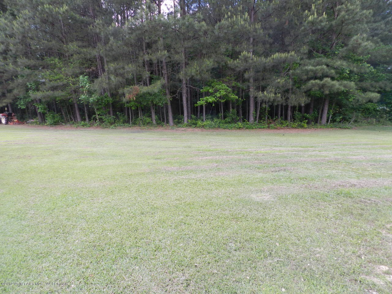 38 Snow Lake Road Jasper, AL 35503 - Photo 25 of 27 Gallery Image 25