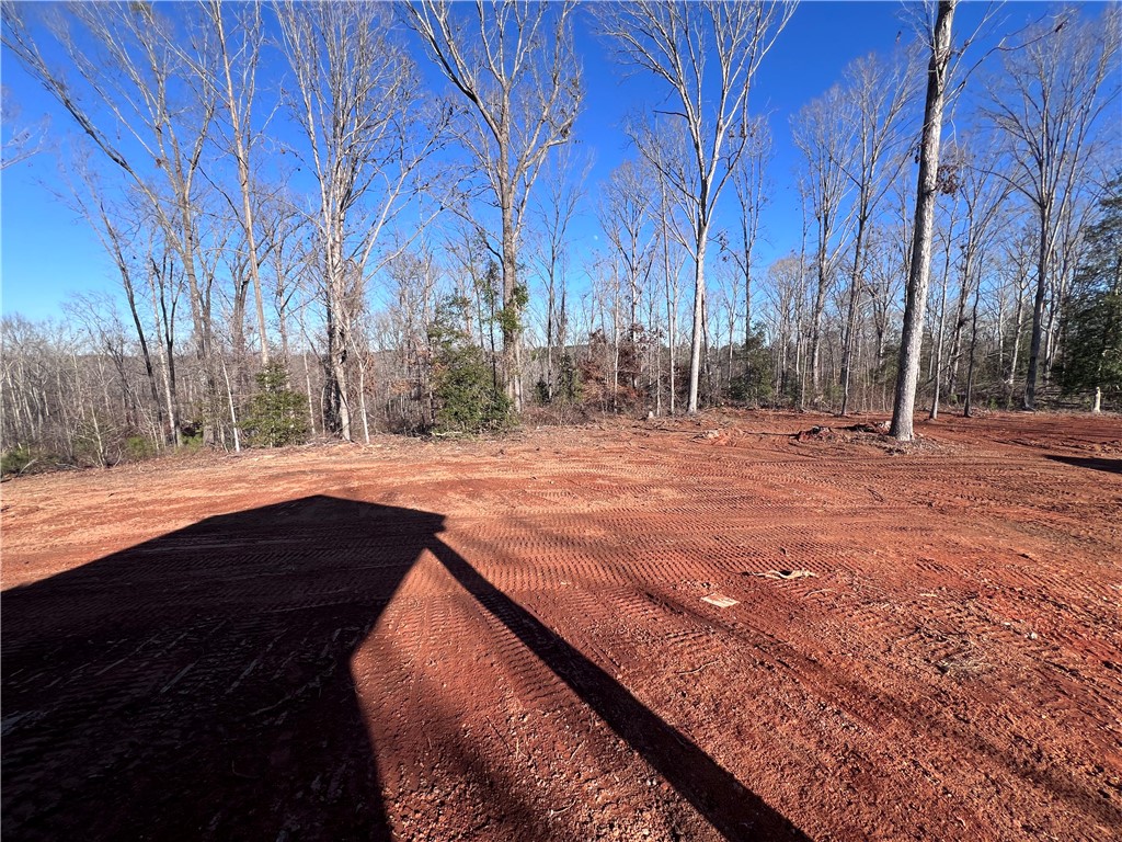 201 Carpenter Road Anderson, SC 29621 - Photo 7 of 46 Gallery Image 7