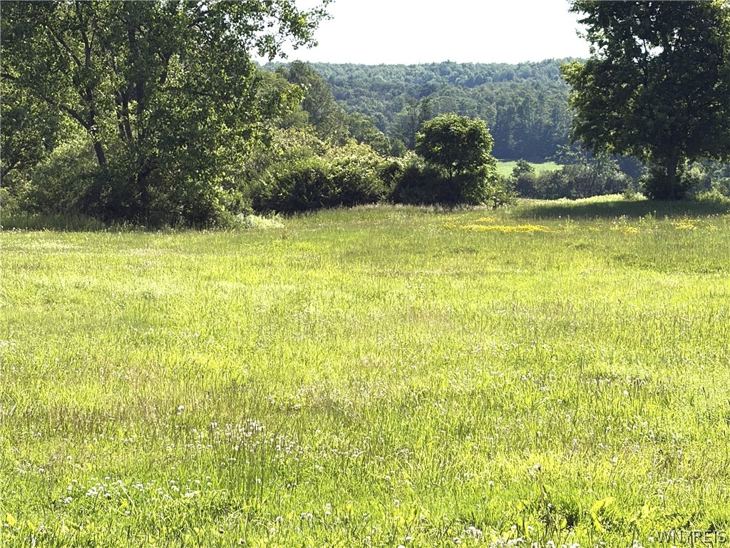 6103 Curriers Road Arcade, NY 14009 - Photo 9 of 30 back yard and view