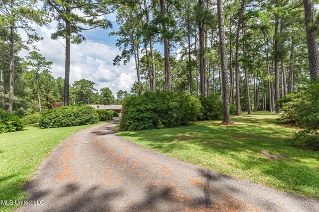 $424,000 | 307 Salem School Road, Collins, MS 39428
