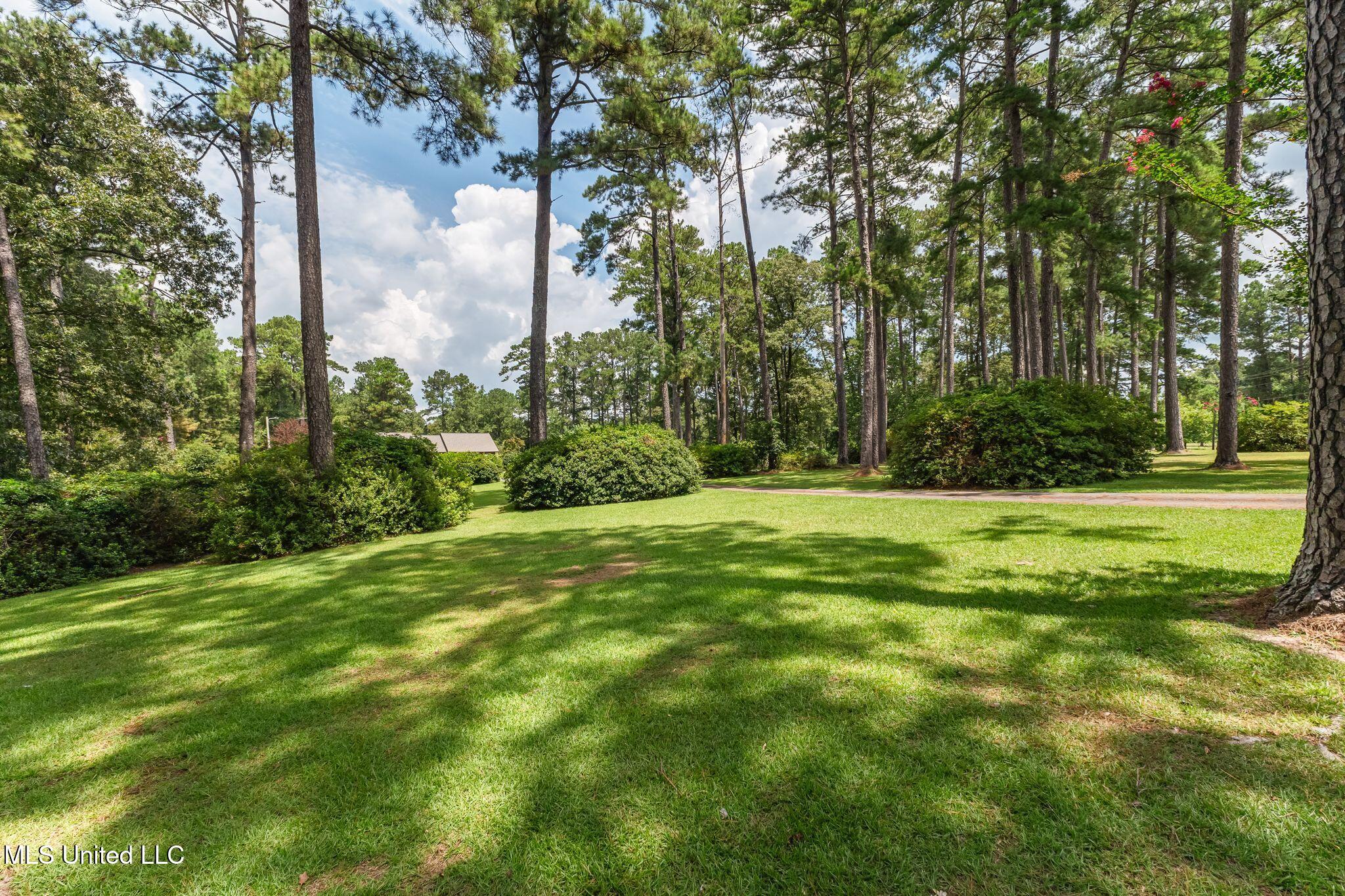 307 Salem School Road Collins, MS 39428 - Photo 44 of 55 307_Salem_School_Rd-43