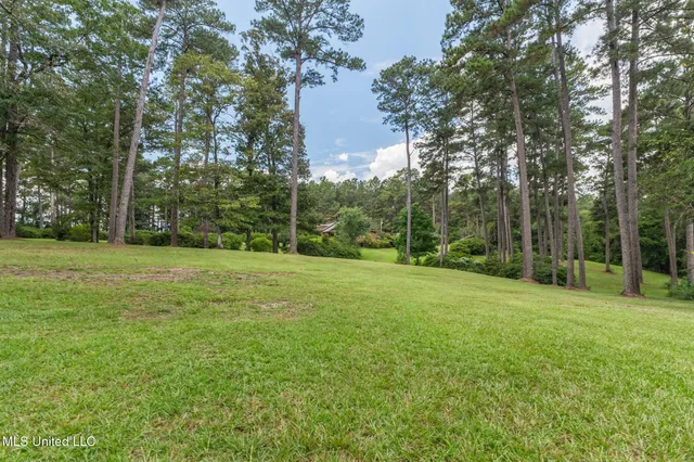 $424,000 | 307 Salem School Road, Collins, MS 39428