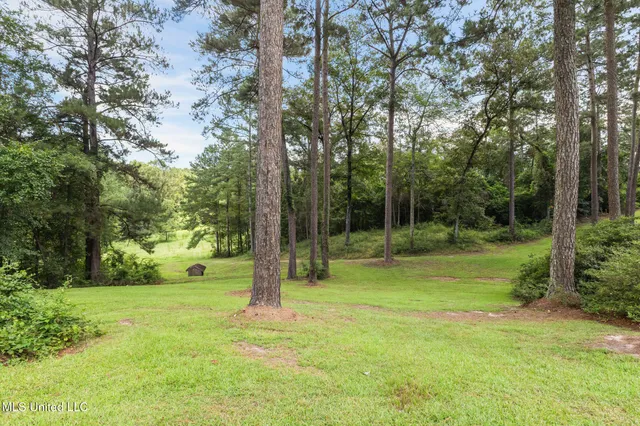 $424,000 | 307 Salem School Road, Collins, MS 39428