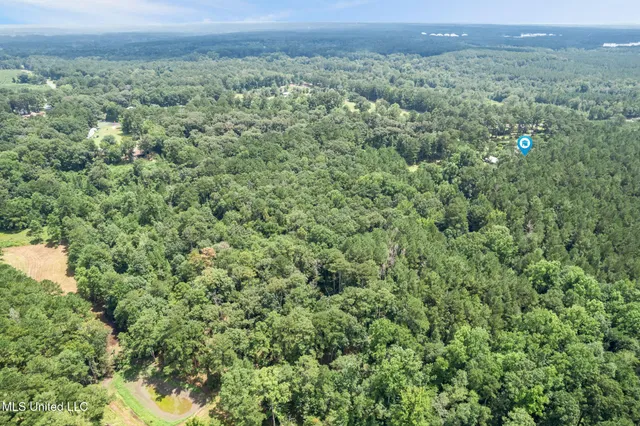 $424,000 | 307 Salem School Road, Collins, MS 39428