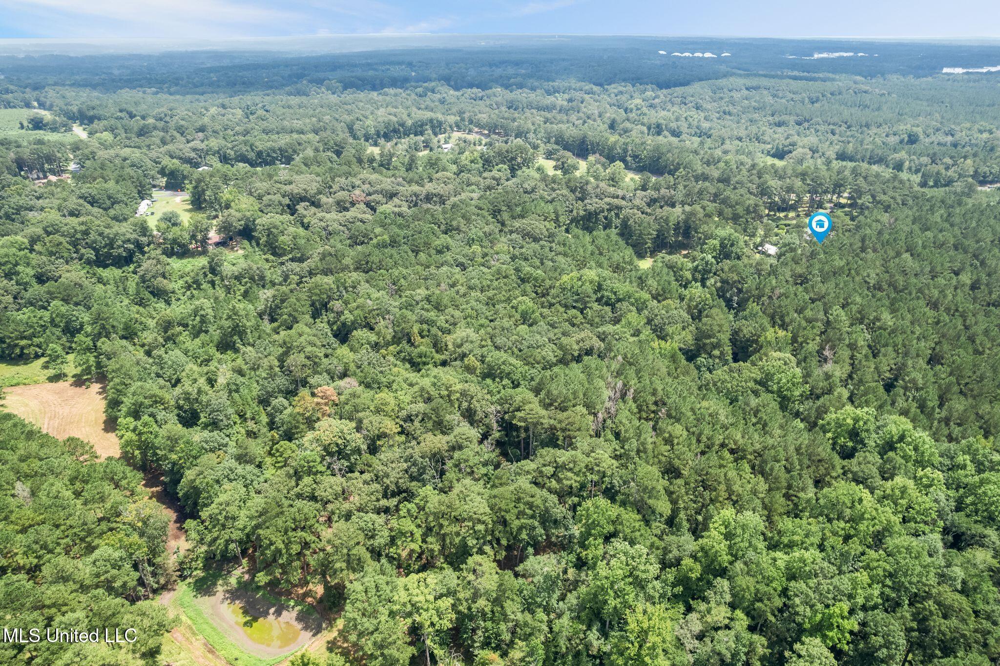 307 Salem School Road Collins, MS 39428 - Photo 53 of 55 307_Salem_School_Rd-52